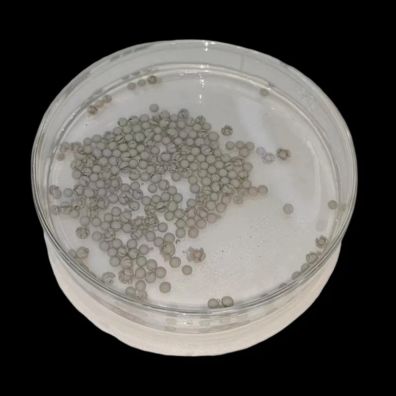 В чем разница между мхом сфагнумом и кондиционером почвы?